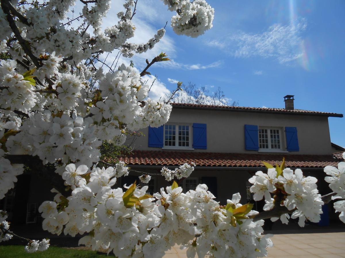 Le Relais Du Grand Logis Bed & Breakfast Civrieux Eksteriør bilde